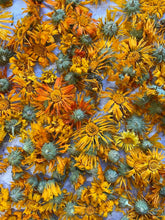 Load image into Gallery viewer, DAYDREAM Sacred Serum