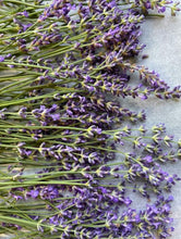 Load image into Gallery viewer, EVENTIDE Face & Body Oil