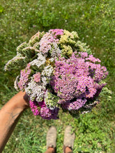 Load image into Gallery viewer, EVENTIDE Face & Body Oil