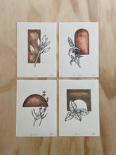 Load image into Gallery viewer, Anise Hyssop Print
