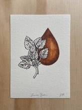 Load image into Gallery viewer, Lemon Balm Print
